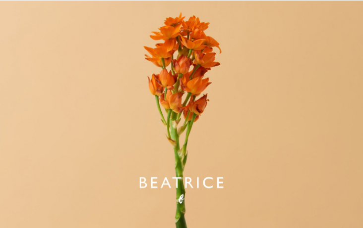 Edit 01 | Beatrice .b